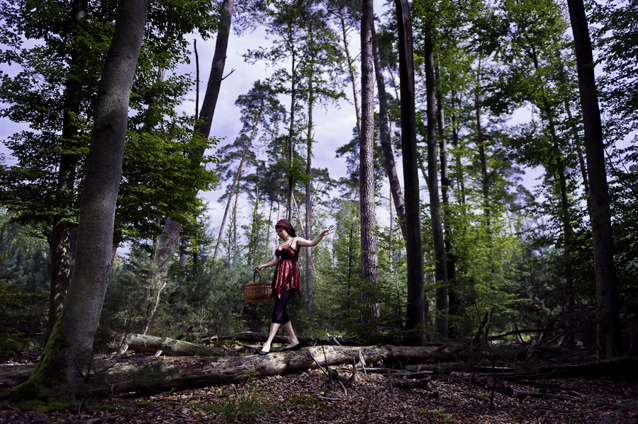 forêt, panier, rouge, promenade dans les bois